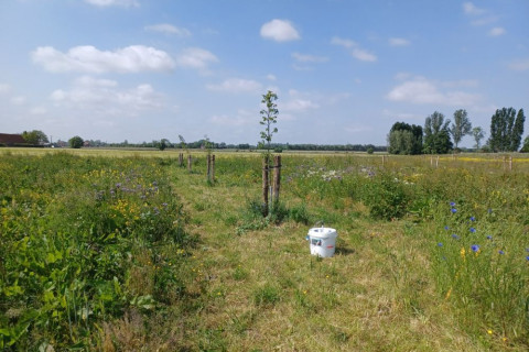 Monitoring nachtvlinders met LED-emmers