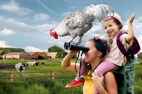 Campagnebeeld boerderijspotten