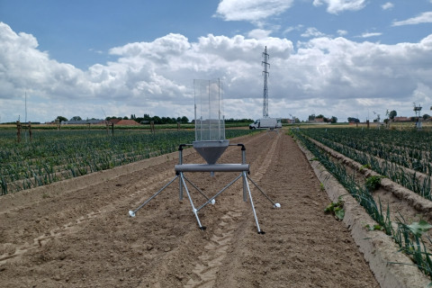 Vensterval op agroforestryperceel