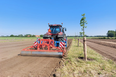 Rotoreggen langsheen de bomenrij op ons agroforestryperceel