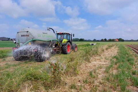 Watergift gemengde heg agroforestryperceel