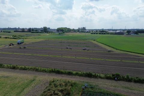 Dronefoto agrofestryperceel