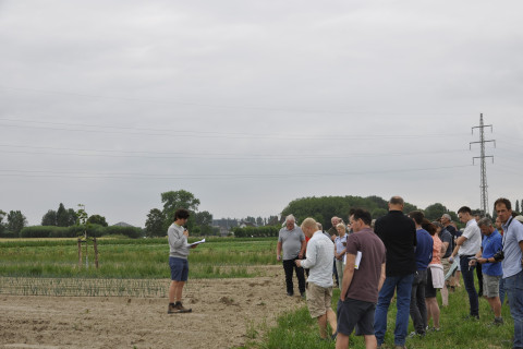 Bezoek aan het agroforestryperceel tijdens de biovelddag