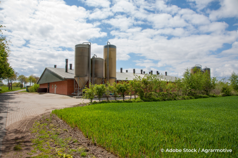 Stal_varkens_AdobeStock_259610333_credit_agrarmotive_compr