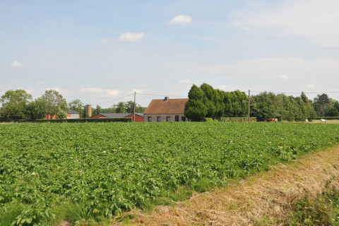 wingene shotspot4