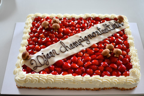 Taart 20 j champignonteelktits