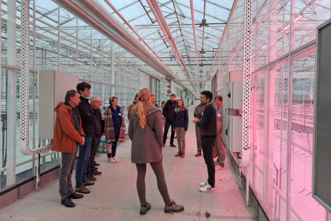 Aardbeiteelt Inagro