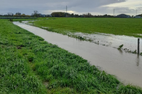 Hoog waterniveau in beek langsheen agroforestryperceel