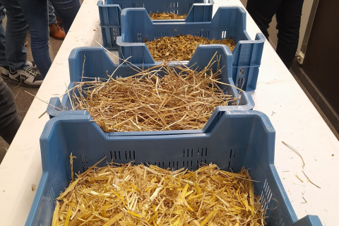 Cursus rundveevoeding oef1 sorteren voederwaarde ruwvoer 2
