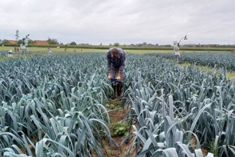 Bepalen bodemcompactie met penetrologger