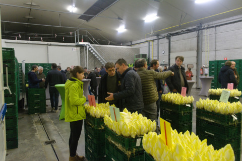 Studieavond witloof 2024 bezoek loods 3