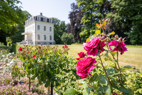 Kasteel 't Hooghe buiten