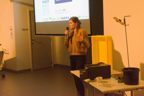 Studieavond witloof