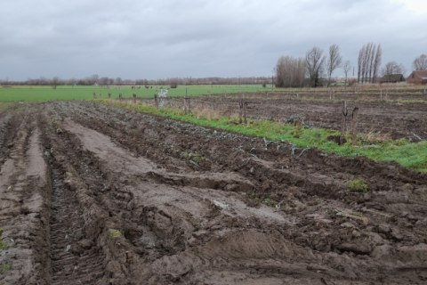 Bodemtoestand na het oogsten van de prei in natte condities