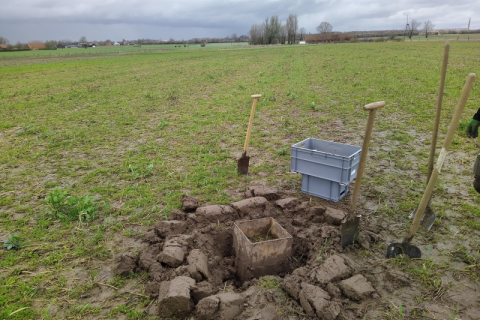 Staalname invertebraten via bodemincubaties