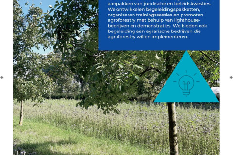 Affiche A3 Cambium