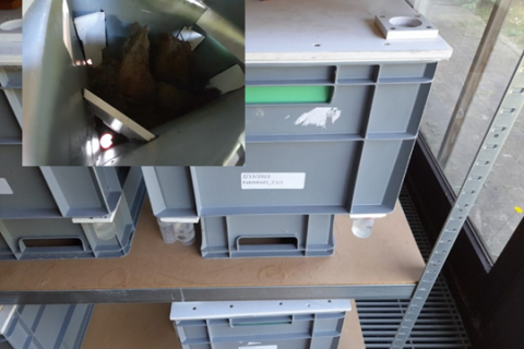 Bodemincubaties in het labo