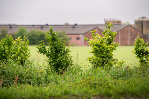 Inspiratie landschappelijke integratie