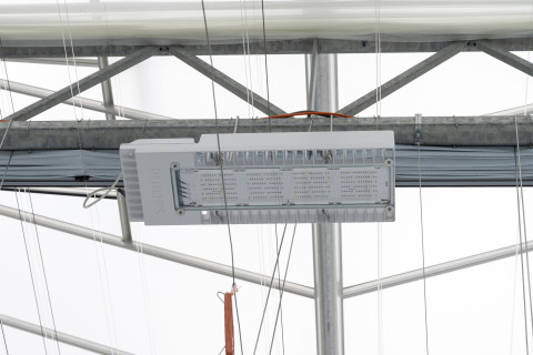 Led lamp agrotopia 