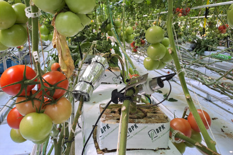 Sensoren Agrotopia