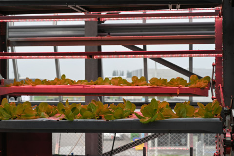 verticalfarmingtoren