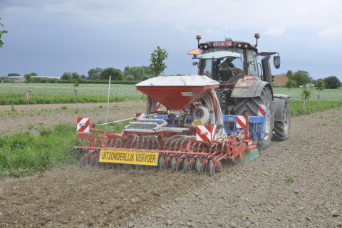 Inzaai raaigras op het agroforestry perceel van Inagro in 2024