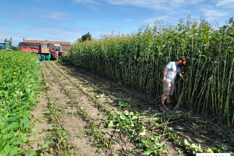 Zonnekroon 20210826