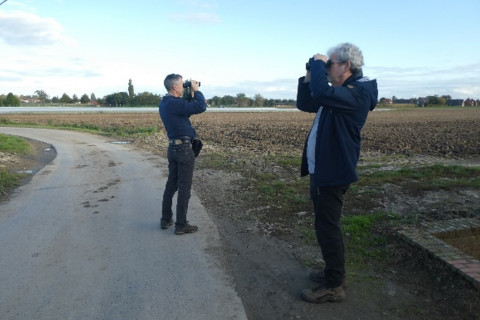 Visuele waarnemingen van vogels op en rond de rolklaverakkers