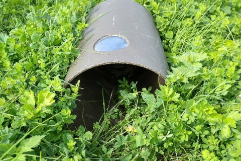 Muizen registreren met struikrover