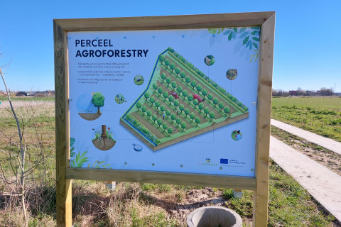Infobord agroforestry