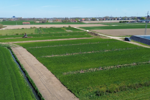Grondwerken agroforestryperceel