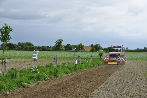 Inzaai raaigras op het agroforestry perceel van Inagro in 2024