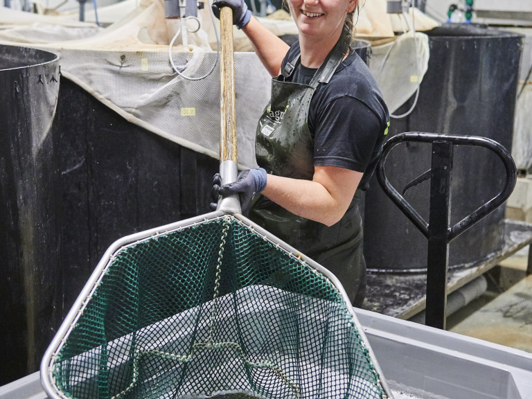 Aquacultuur Anne