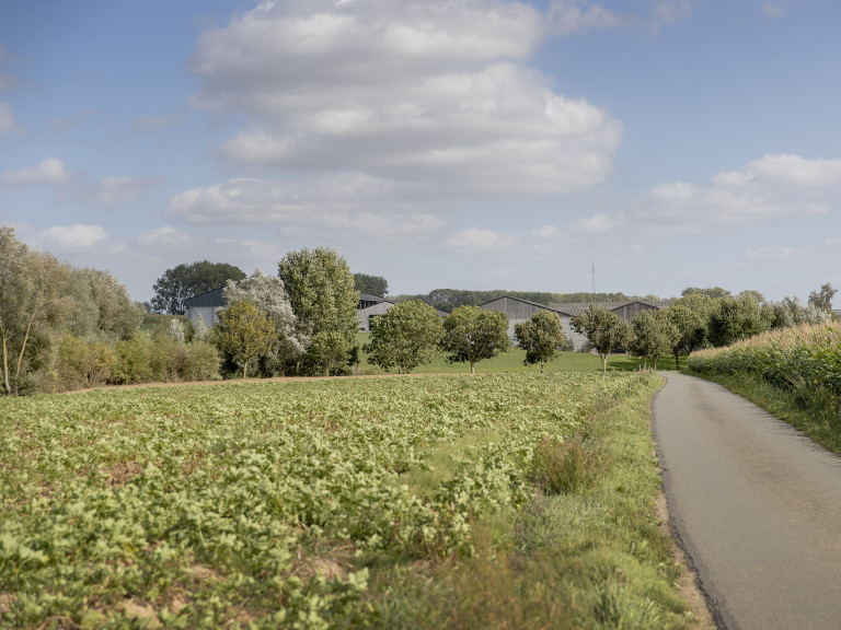 landschappelijke integratie van stallen met hoogstammige bomen