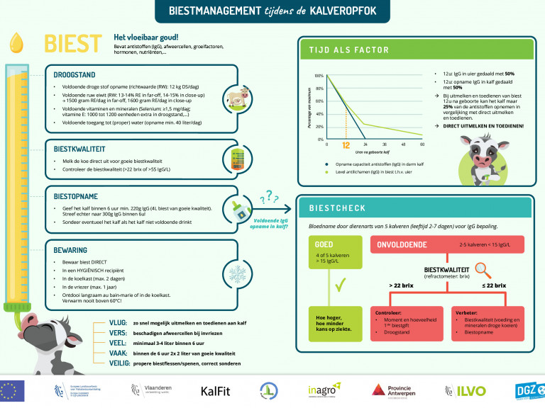 Infographic biest