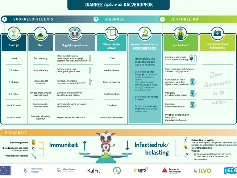 Infographic KalFit Diarree