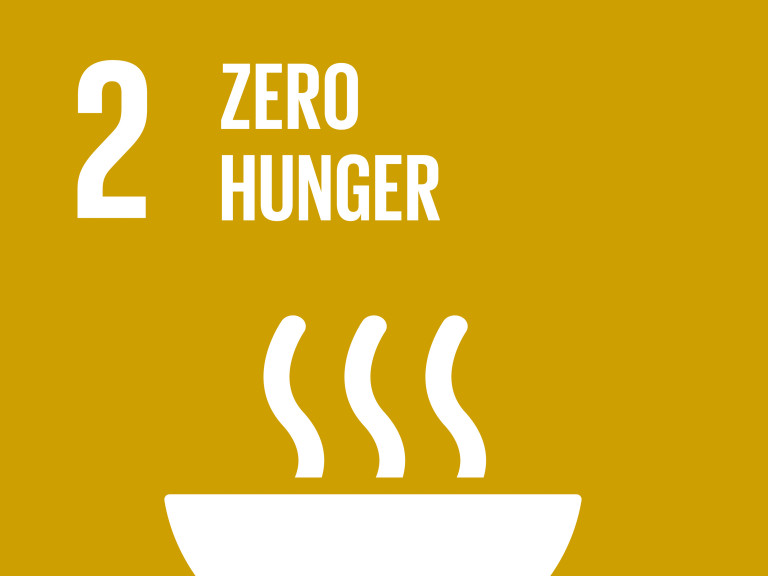 SDG Zero hunger