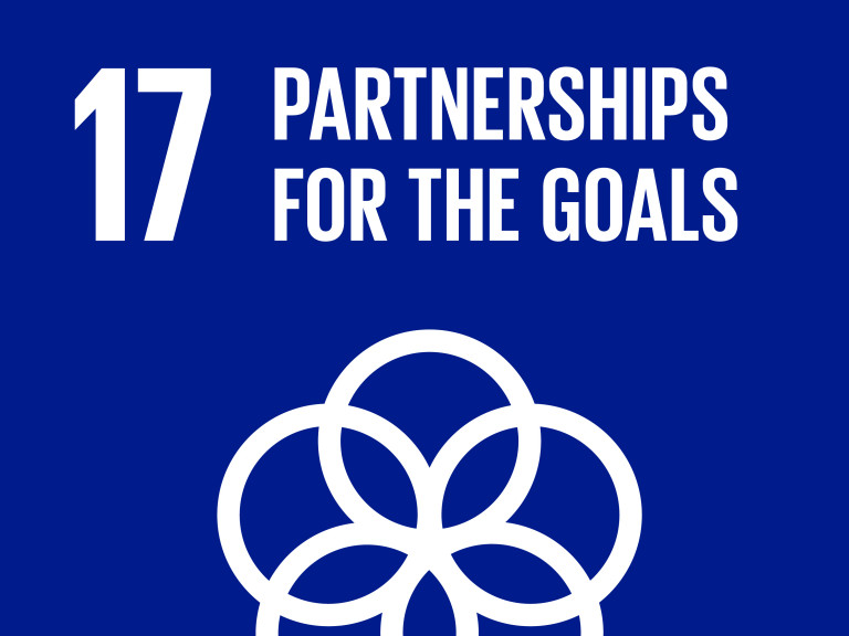 SDG 17 - Partnerships for the goals
