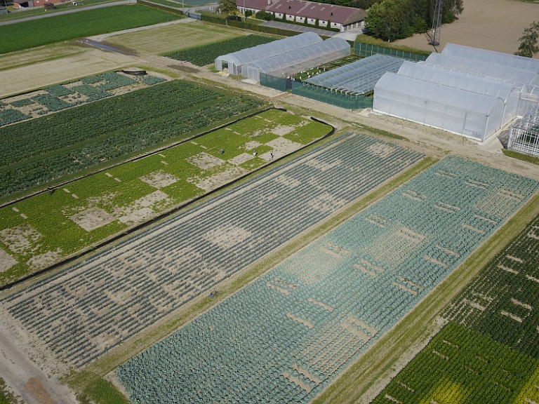 luchtbeeld proefvelden Inagro