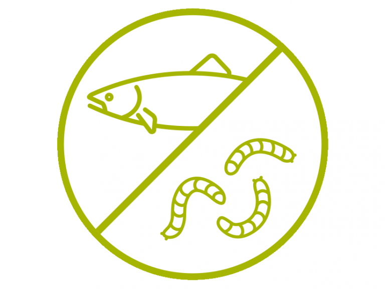 aquaculture and insects