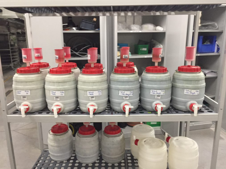 Fermentatievaten