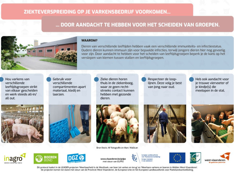 Protocol scheiding van groepen