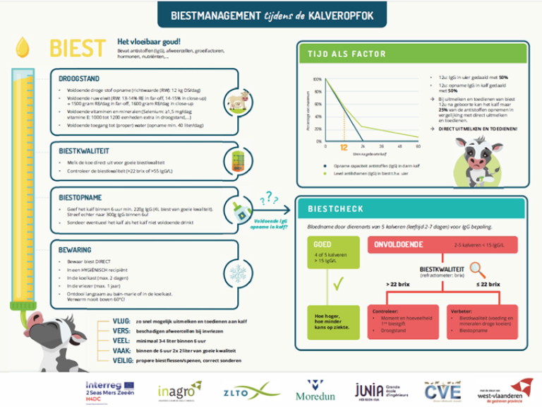 infographic biest