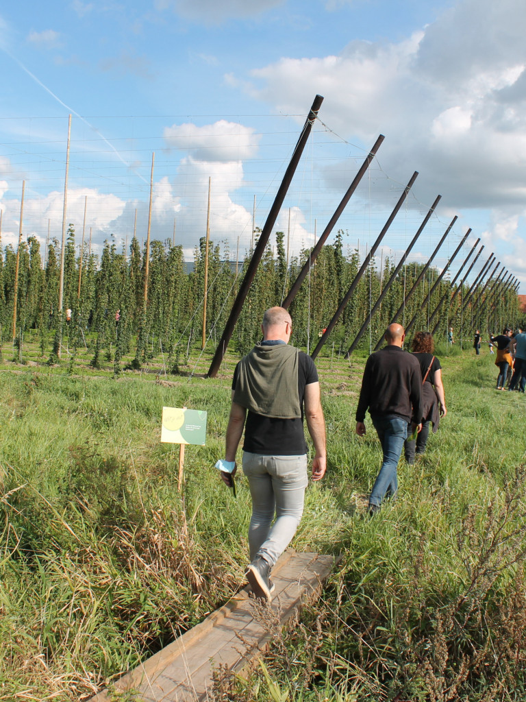 Belhop - organiseren activiteit