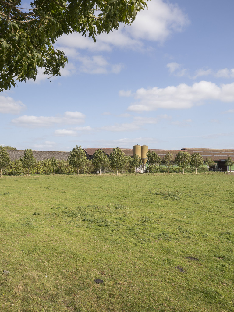 landschappelijke integratie 4