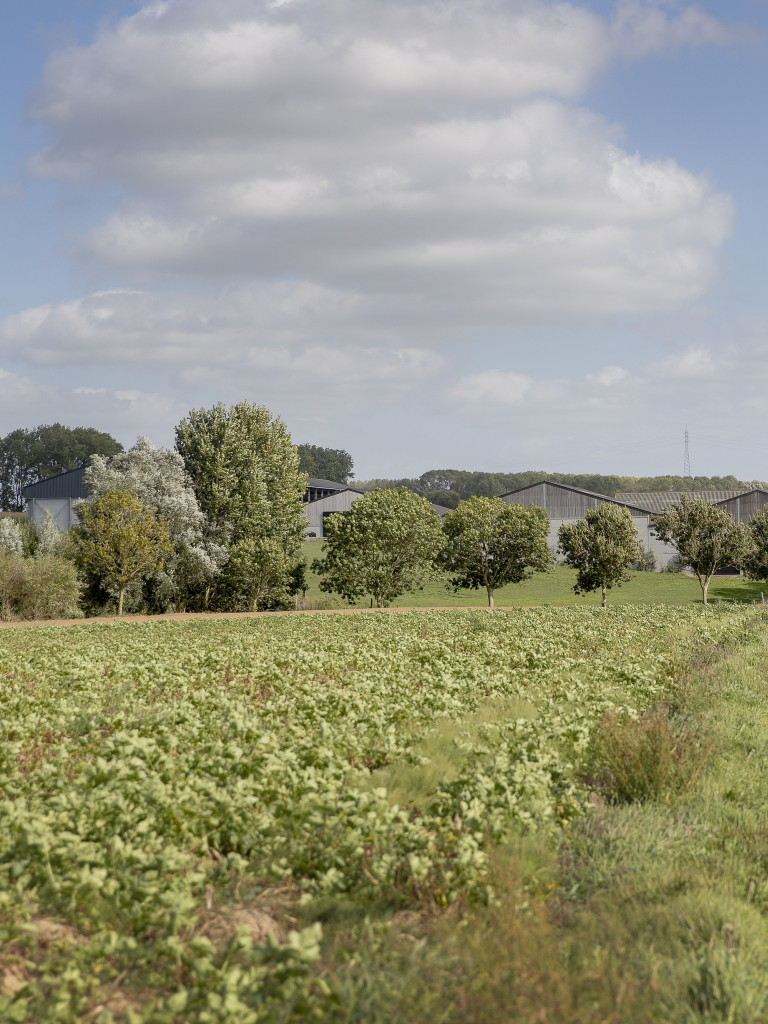 landschappelijke integratie van stallen met hoogstammige bomen