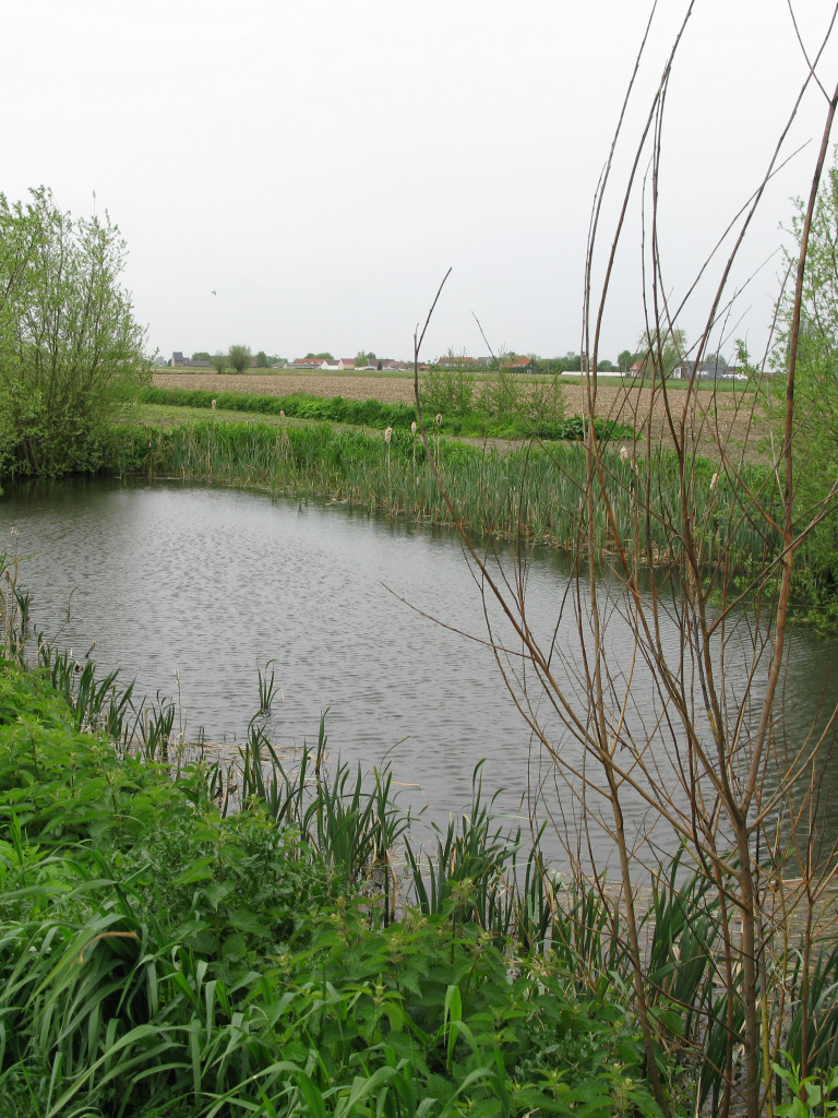 Afbeelding van een open waterput