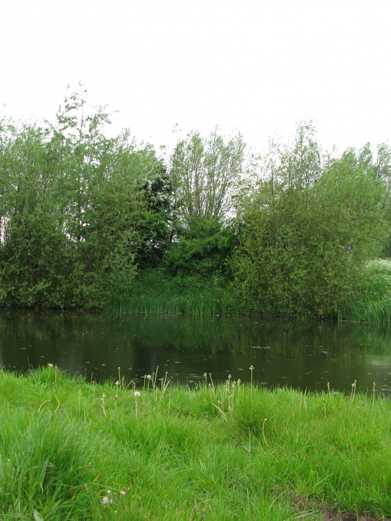 Waterput in natuurlijke omgeving