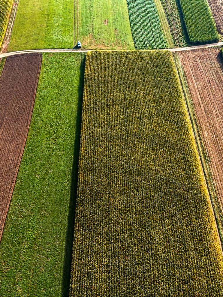 Colorful countryside fields