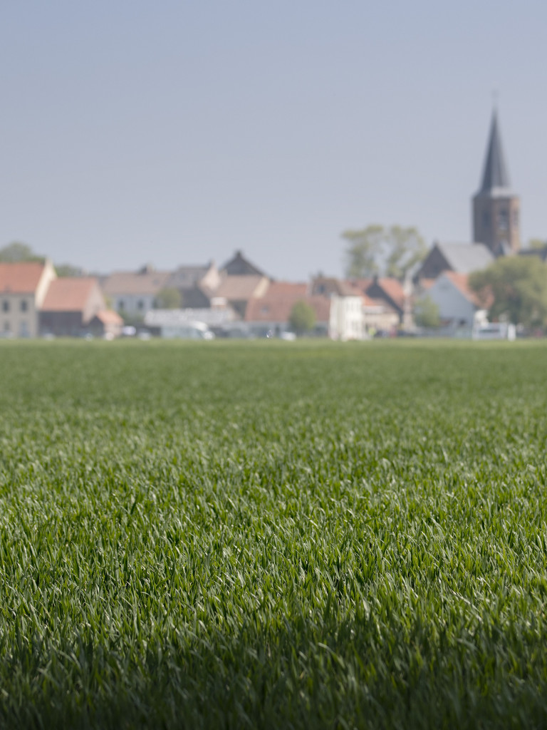 Sfeerbeeld landbouw west-vlaanderen